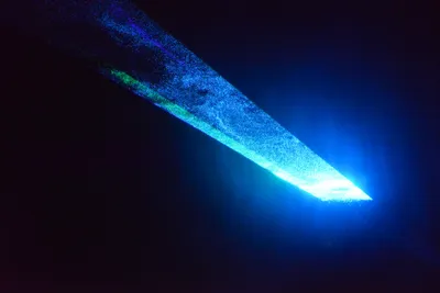 DSC_7054 (Large).JPG